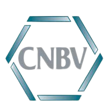 CNBV-removebg-preview