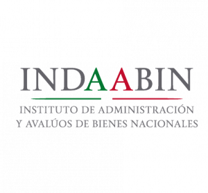 indaabin-removebg-preview